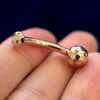 Curved Barbell