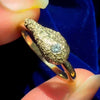Chicken Wing Ring