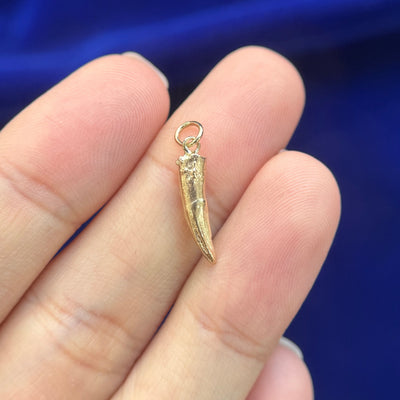 14k Yellow Gold Copy of Cats Tooth 12mm Custom Charm with Dangling Bail