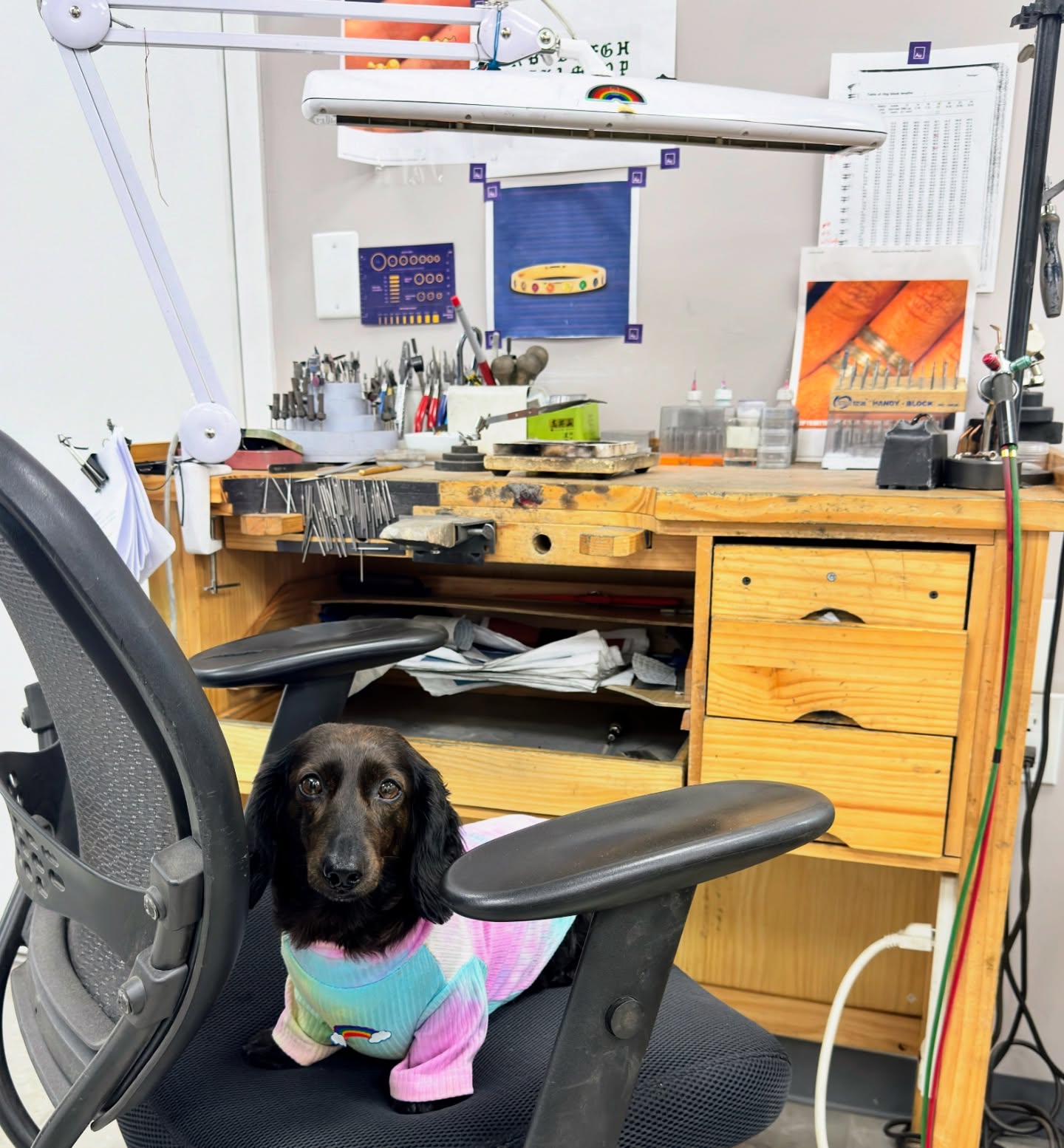 Luna sitting a jewelers bench ready to make some jewelry