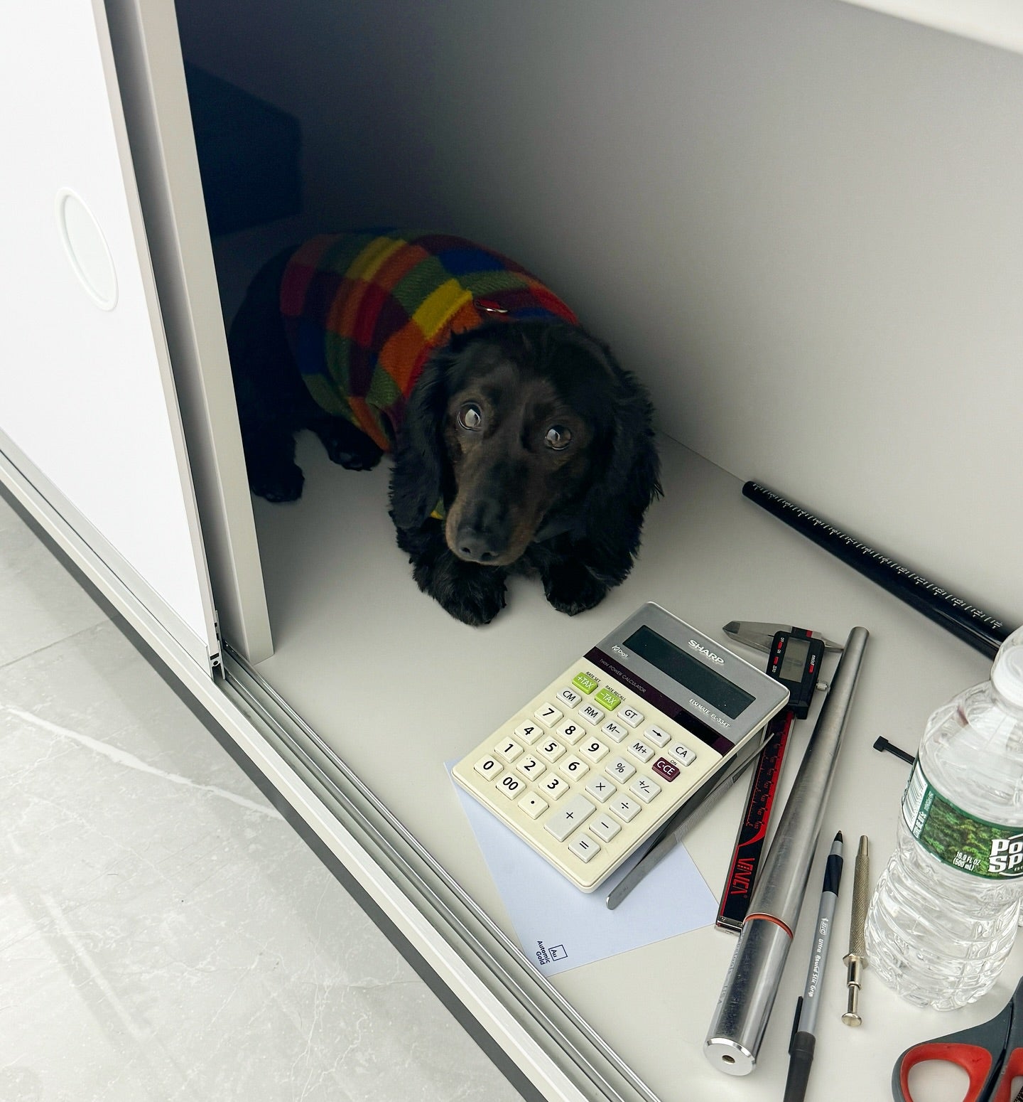 Luna in our showroom with a calculator and ring sizers ready to help you find your ring