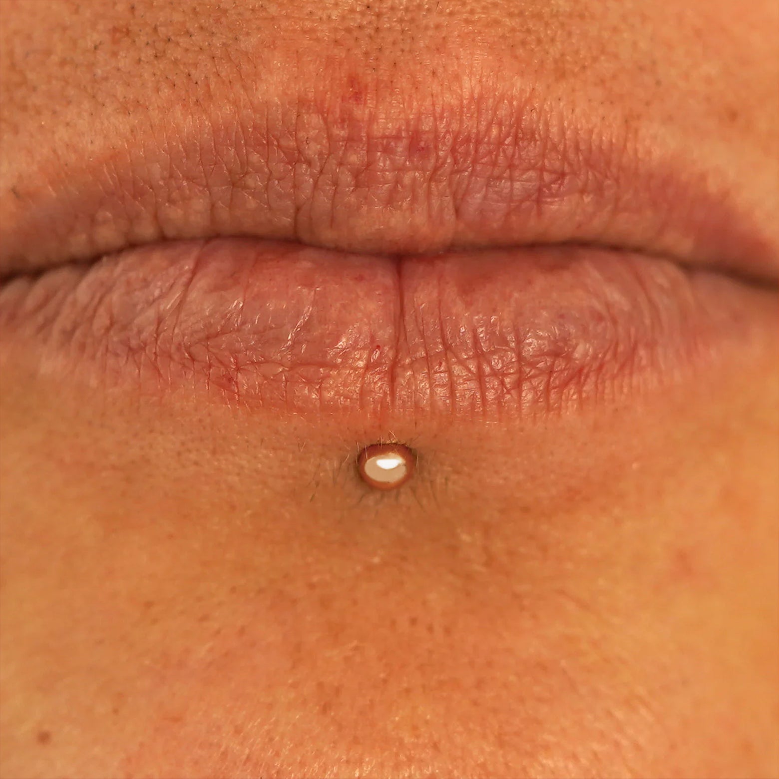 Close up view of a model's lips wearing a 14k rose gold Small Labret Piercing
