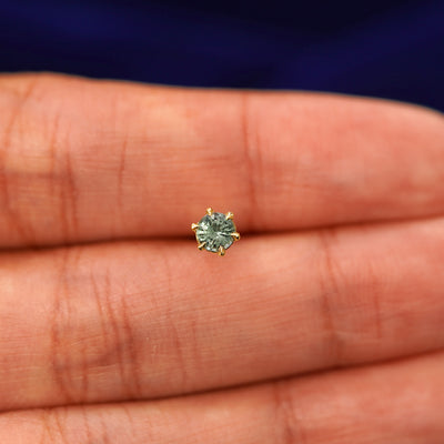 A solid 14k yellow gold Montana Teal Sapphire Earring in between a model's fingers