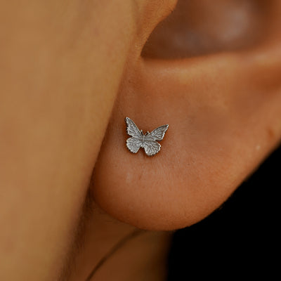 Close up view of a model's ear wearing a 14k white gold Mini Butterfly Earring