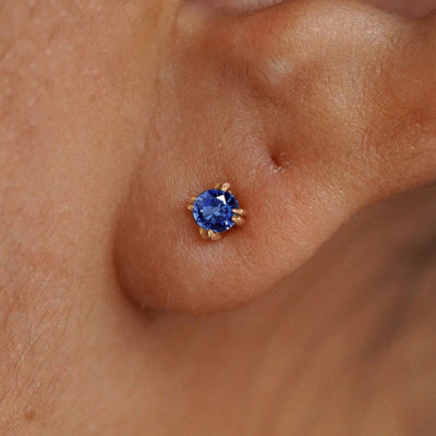 Close up view of a model's ear wearing a 14k yellow gold Sapphire Earring