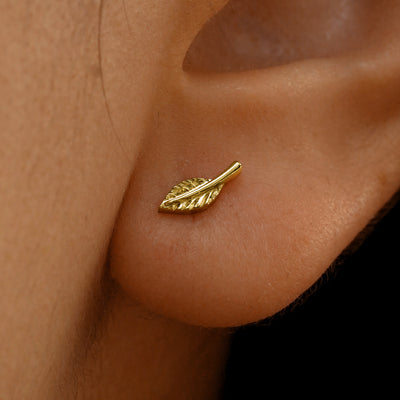 Close up view of a model's ear wearing a 14k yellow gold Leaf Earring