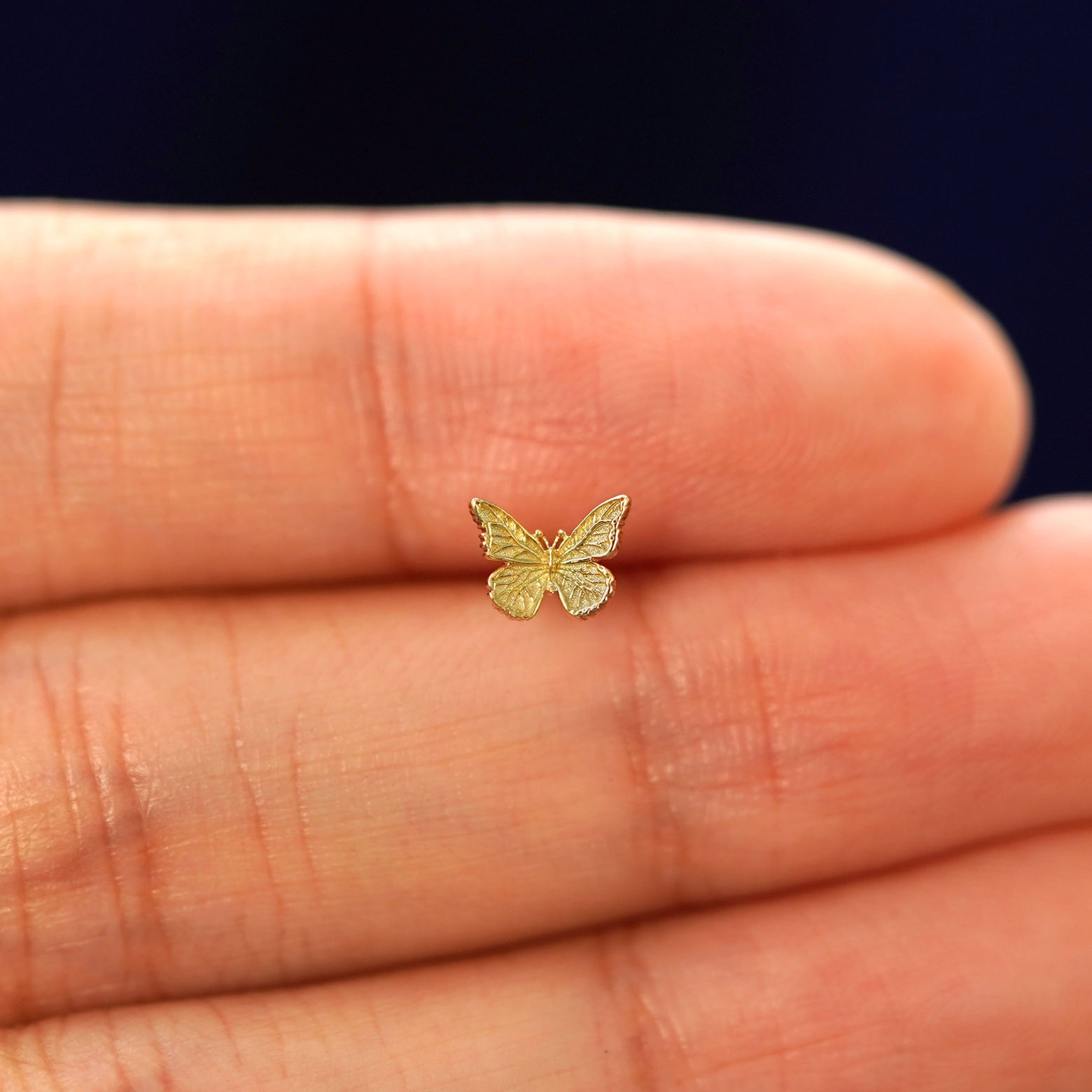 A hand holding a 14k yellow gold mini butterfly stud Flatback Piercing in between their fingers