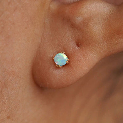 Close up view of a model's ear wearing a 14k yellow gold Opal Earring